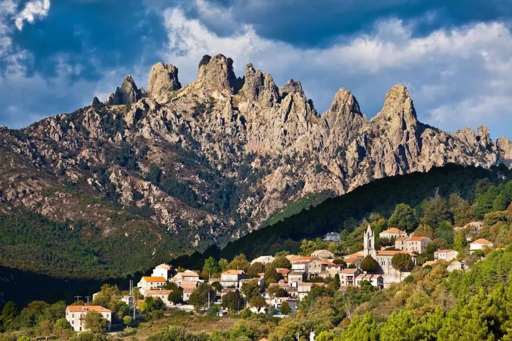 Hebergement D'Exception A Zonza Εξωτερικό φωτογραφία